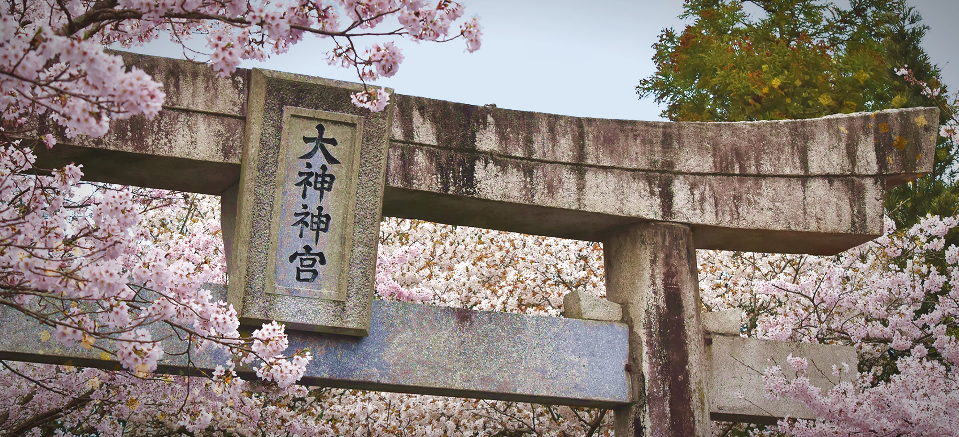 宗教法人大己貴神社